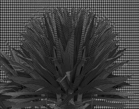 ЧБ абстракция