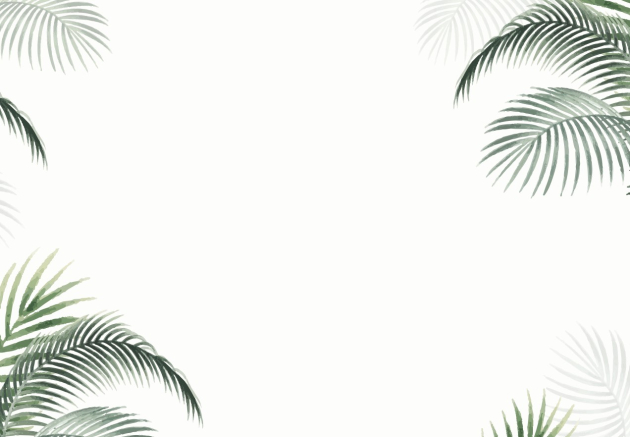 Листья  на белом фоне