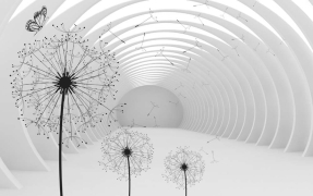 Одуванчики в тоннеле