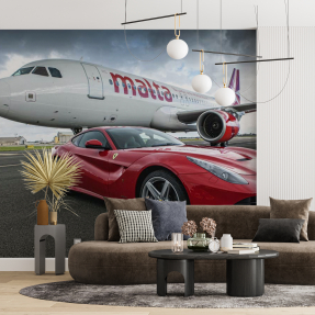 Самолет и автомобиль