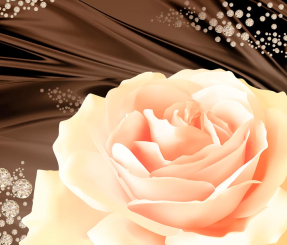 Оранжевая роза