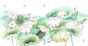 Акварельные лотосы