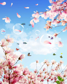 Цветущая магнолия