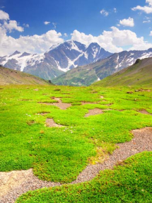 Зеленое поле в горах