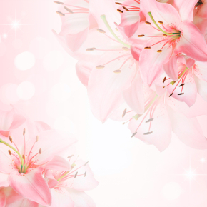 Картины Розовые Лилиии