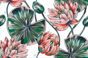 Рисованные водяные лилии