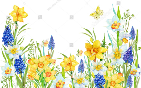 Рисованные цветы