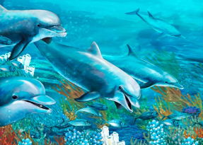 Дельфины