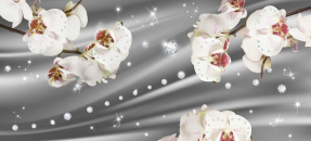 Орхидеи на сером фоне