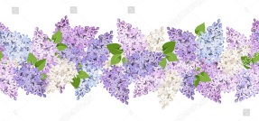 Узор из сирени