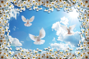 Небо и голуби