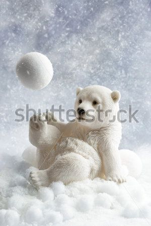 Белый медведь