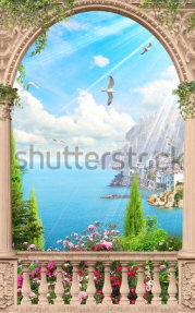 Парящие чайки