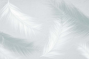 Светлые перья