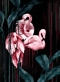 Розовый фламинго