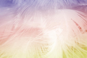 Разноцветные перья