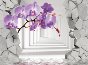 Тоннель с орхидеями