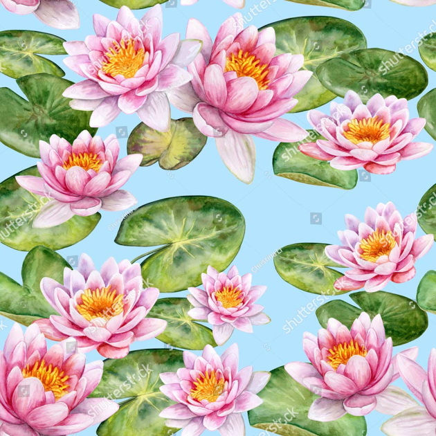 Рисованные кувшинки