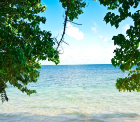 Вид на море