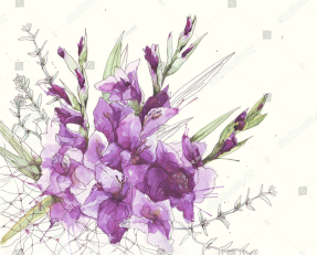 Акварельные гладиолусы