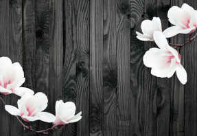 Магнолии на черном фоне