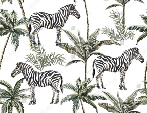 Зебры в тропиках