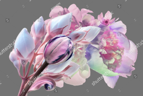 Необычные цветы