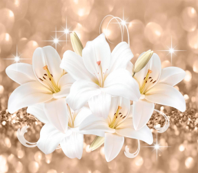 Белые Лилии