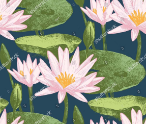 Рисованные водяные лилии