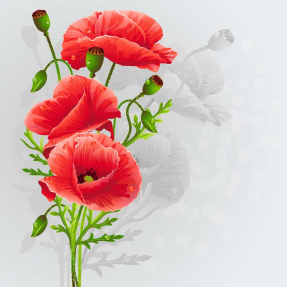 Рисованные маки