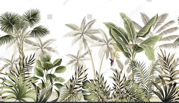 Джунгли в тропиках