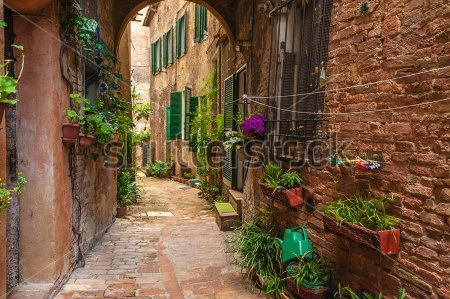 Вулиця Вулиця