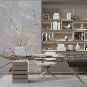 Одуванчики