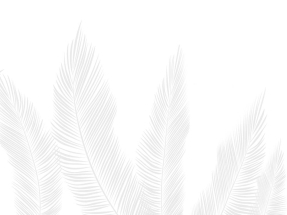 Листья белые