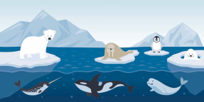 Морские животные