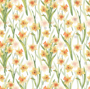 Акварельные нарциссы