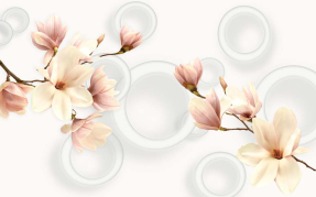 Ветки магнолии