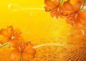 Оранжевые лилии