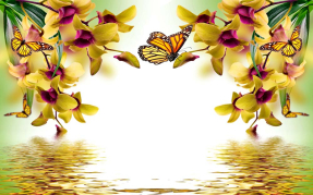 Желтые орхидеи над водой