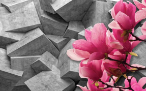 Магнолии на камнях