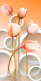 Тюльпаны на воде