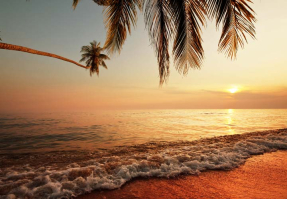 Пальмы в закате