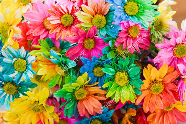 Разноцветные цветочки