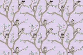 Еноты на дереве