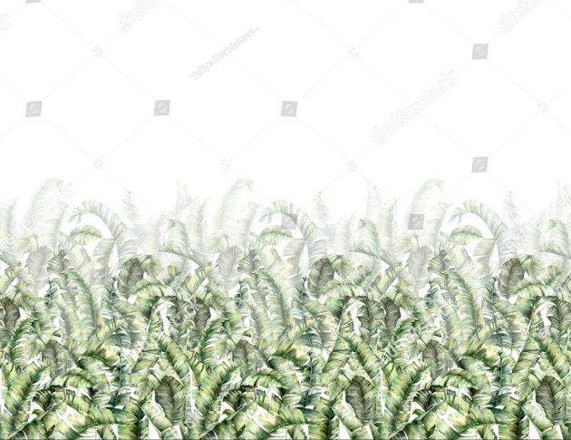 Банановые листья