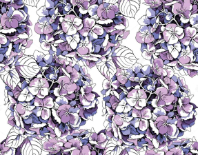 Акварельная гортензия