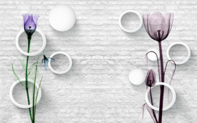 Тюльпаны и круги