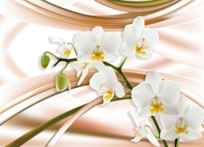 Картины Орхидея