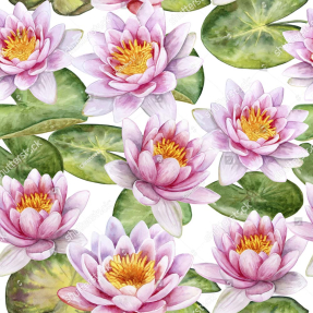 Рисованные кувшинки