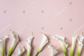 Нежные каллы